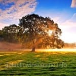 Avatar de Iván Téllez